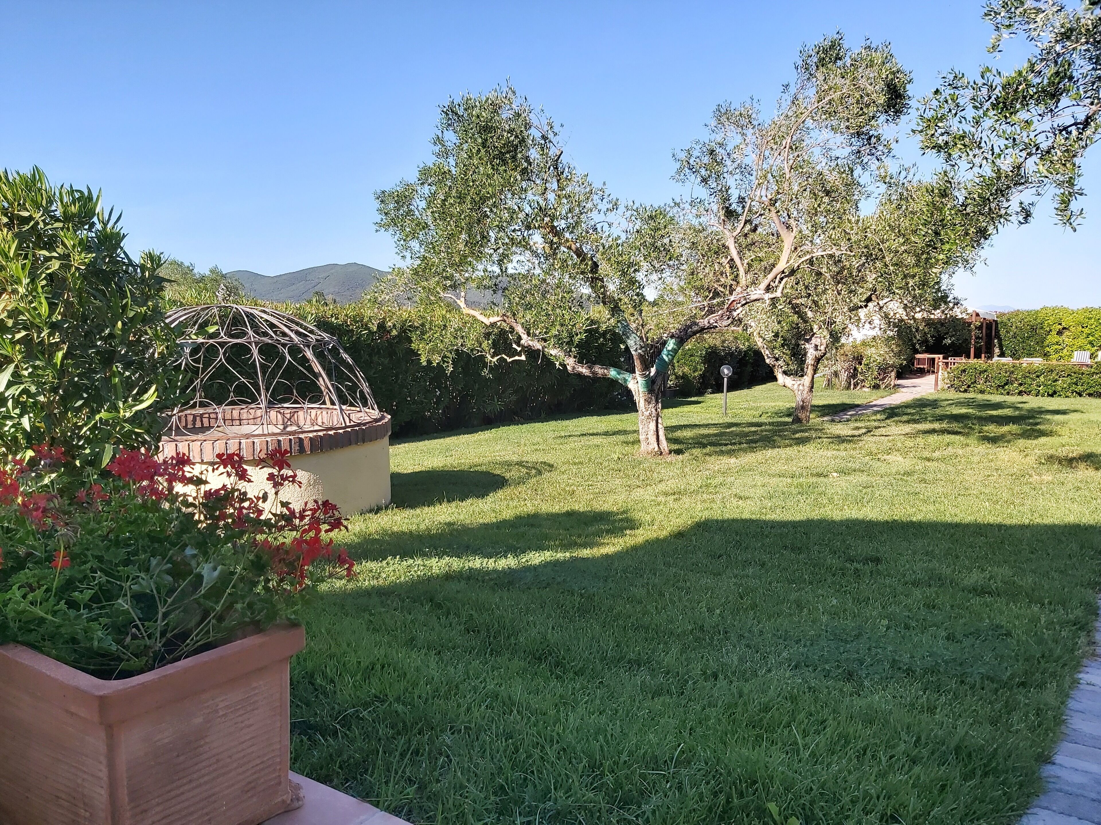 View from room