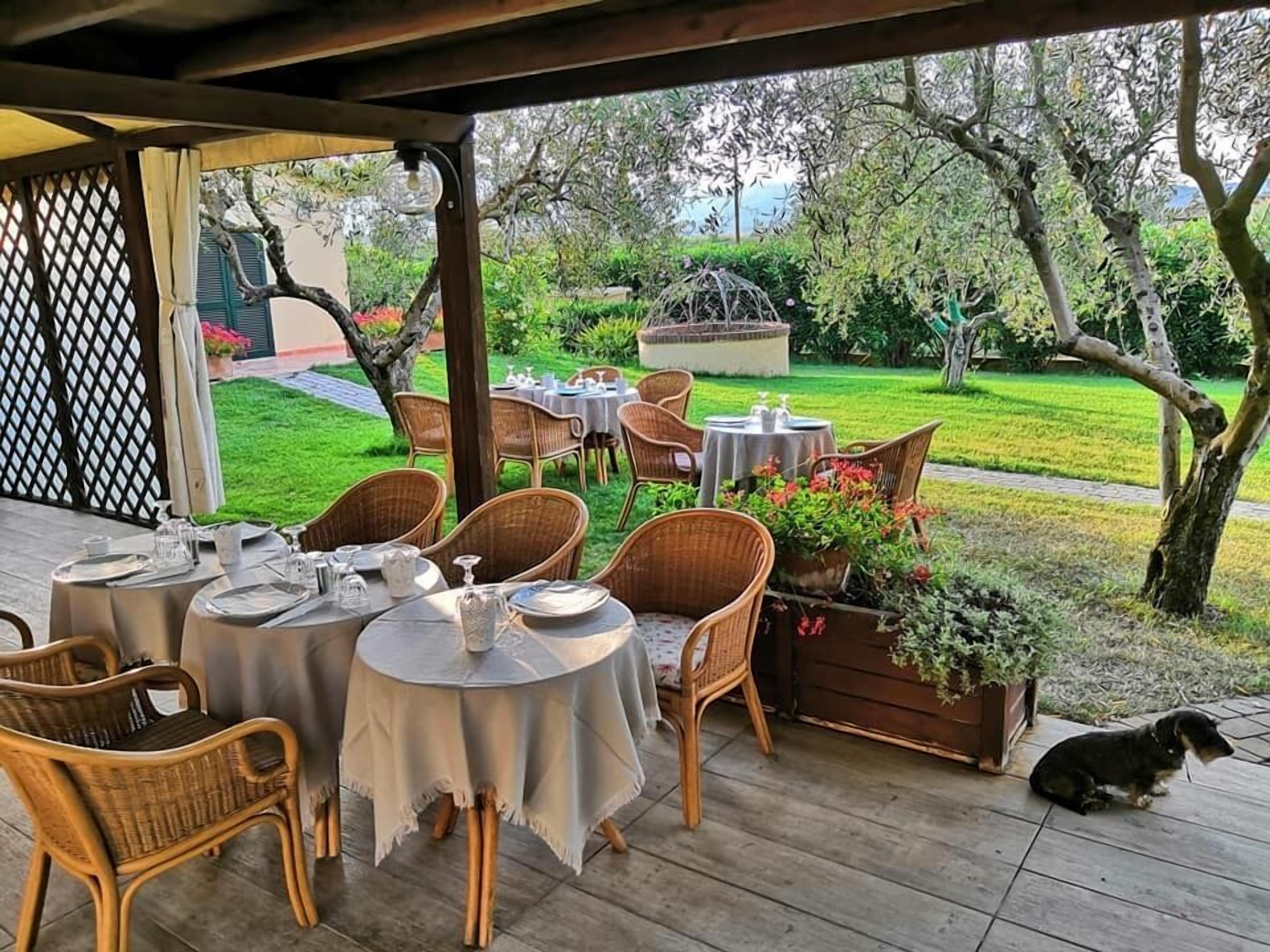 Spécialités Cuisine locale, vue sur la piscine 