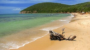 Une plage à l’eau turquoise et limpide, un grand morceau de bois flotté et, en arrière-plan, une colline verdoyante.