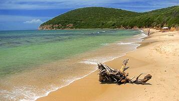 Site dâintĂ©rĂȘt