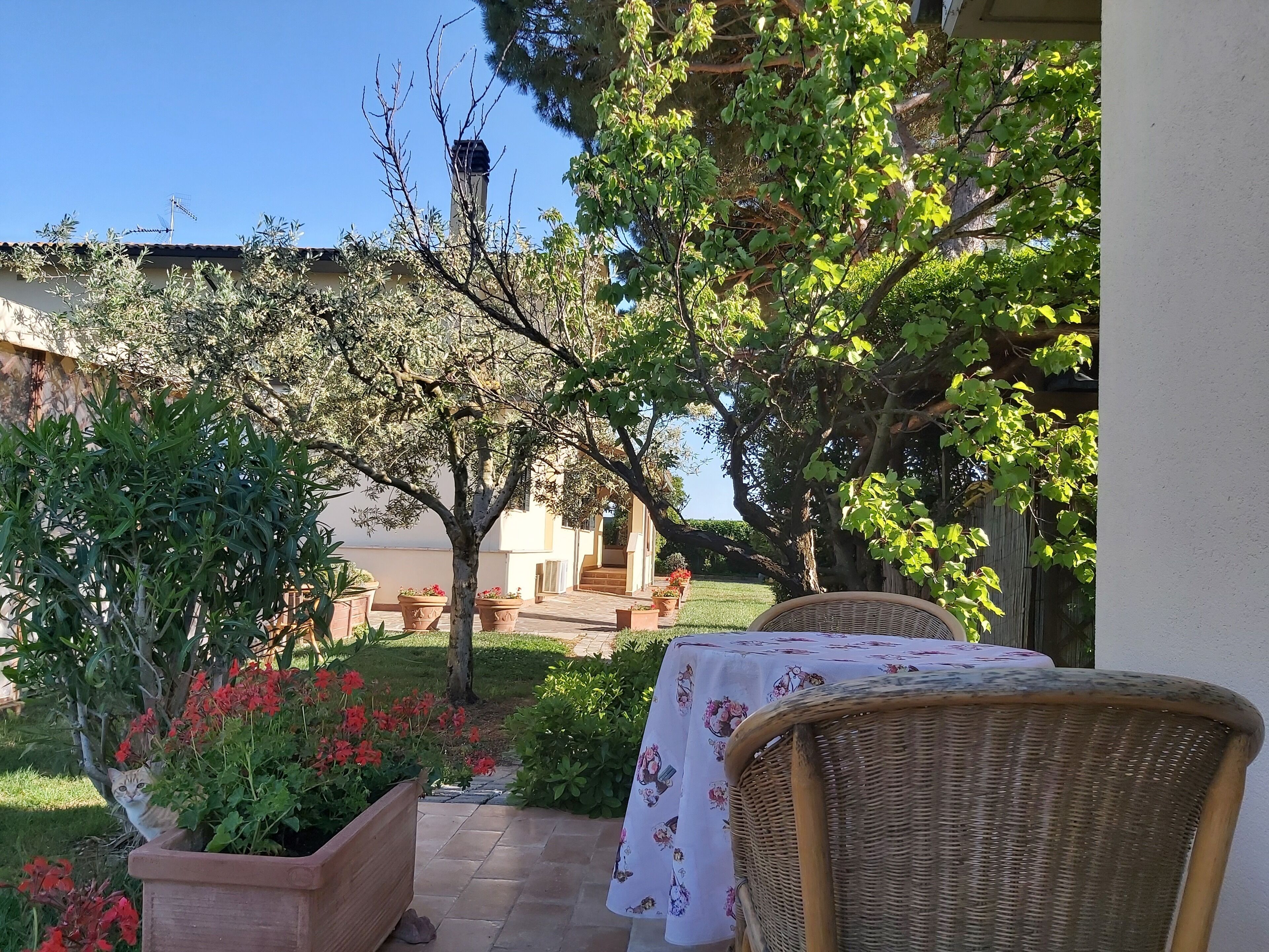 Terrace/patio