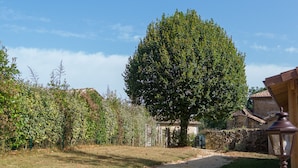 A stone wall, a pathway, and a large tree in a garden setting. - B&B Clos de Saint-Maime (Saint-Maime-de-Pereyrol)