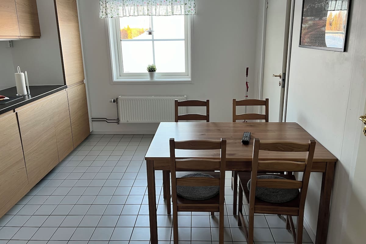 A kitchen with a dining table, chairs, and a window with a plant.