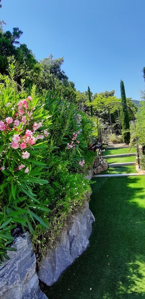 Property grounds - quiet villa, decorated in a Provencal style, with a large terrace and a swimming pool (Cavalaire-sur-Mer)