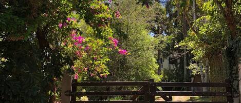 Área da propriedade