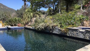 Ein klares Schwimmbecken, umgeben von dichter Vegetation und einer Steinmauer.
