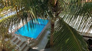 Ein Pool, umgeben von Palmen, mit Stufen zum Wasser.