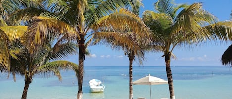 En la playa, camastros, sombrillas y toallas de playa 