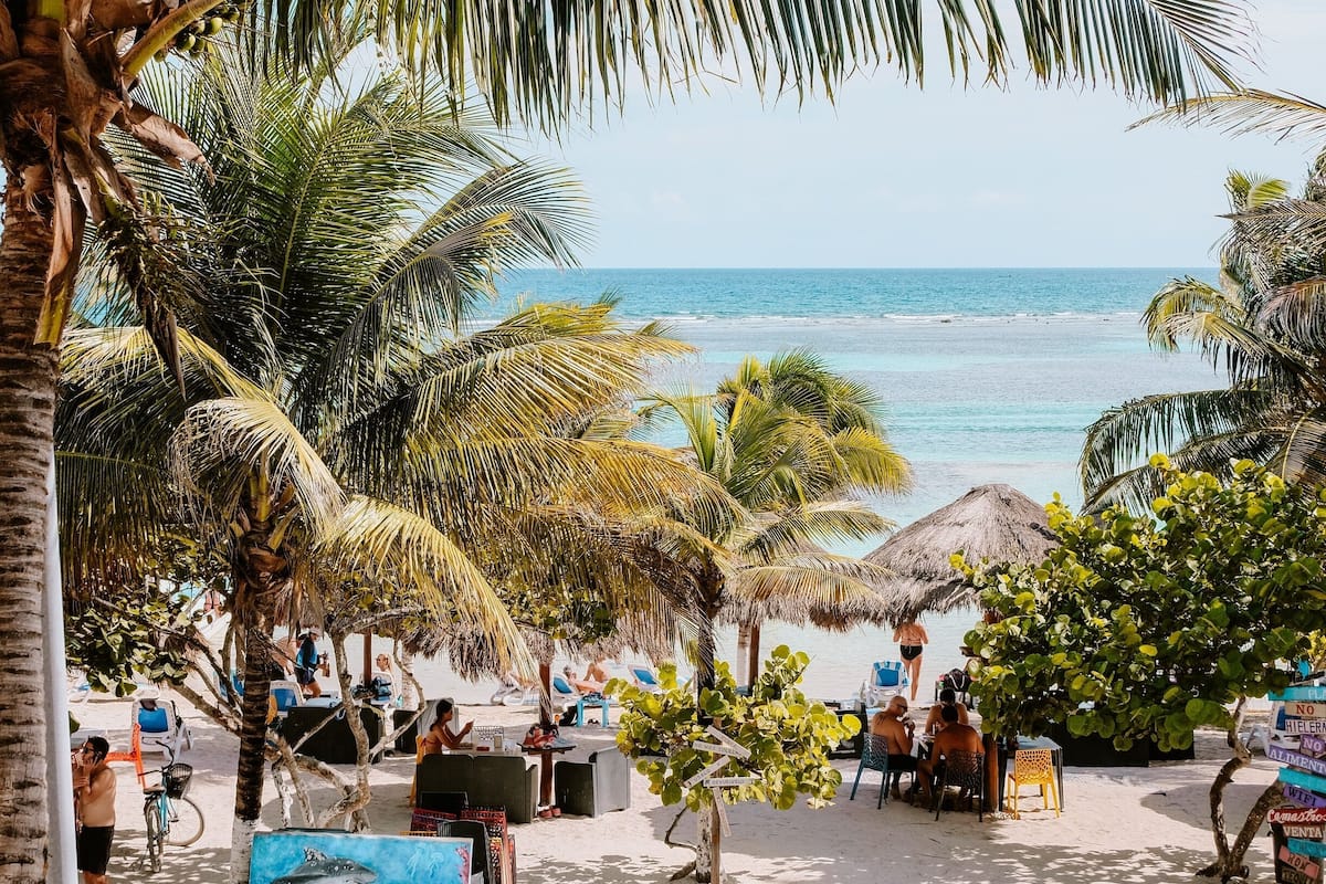 A beachside area with palm trees, beach chairs, and umbrellas.