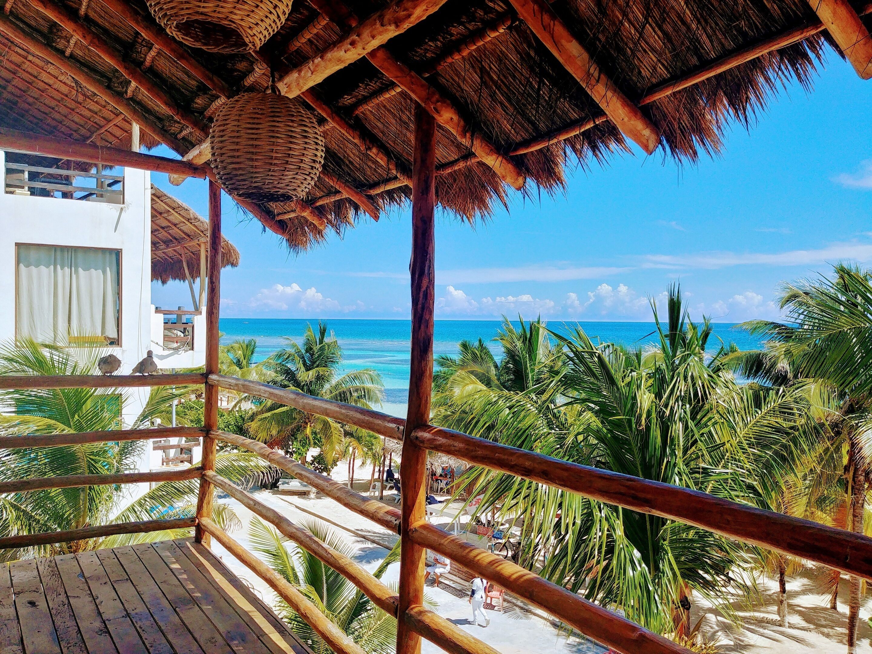 Comfort Apartment, 2 Bedrooms, Oceanfront | Terrace/patio