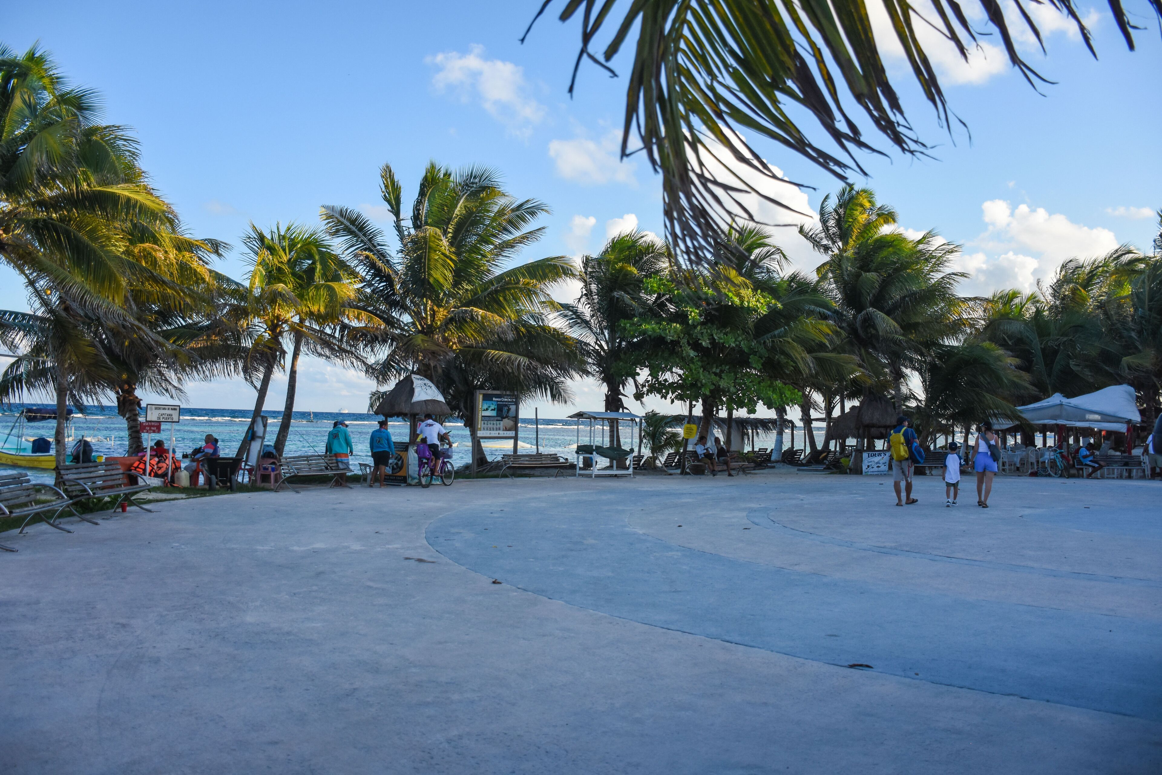 A beach with palm trees, a sandy area, and a few people.