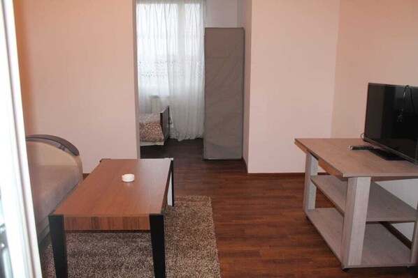 Living area - It’s a beautiful house in Orbeli street one bedroom house with small living room sharing kitchen and bathroom with garden and car parking (Yerevan)