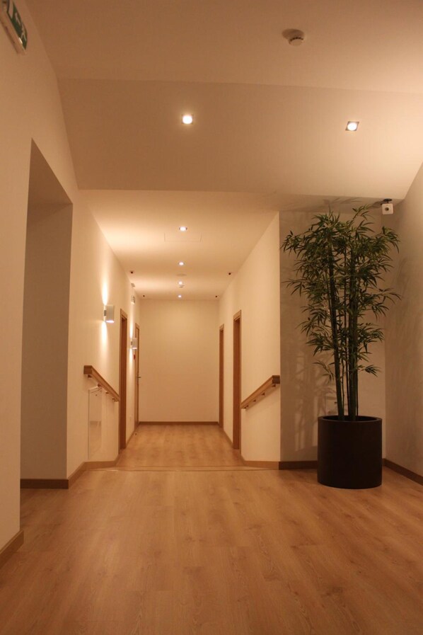 A hallway with wooden flooring, recessed lighting, a potted bamboo plant, and wooden doors.