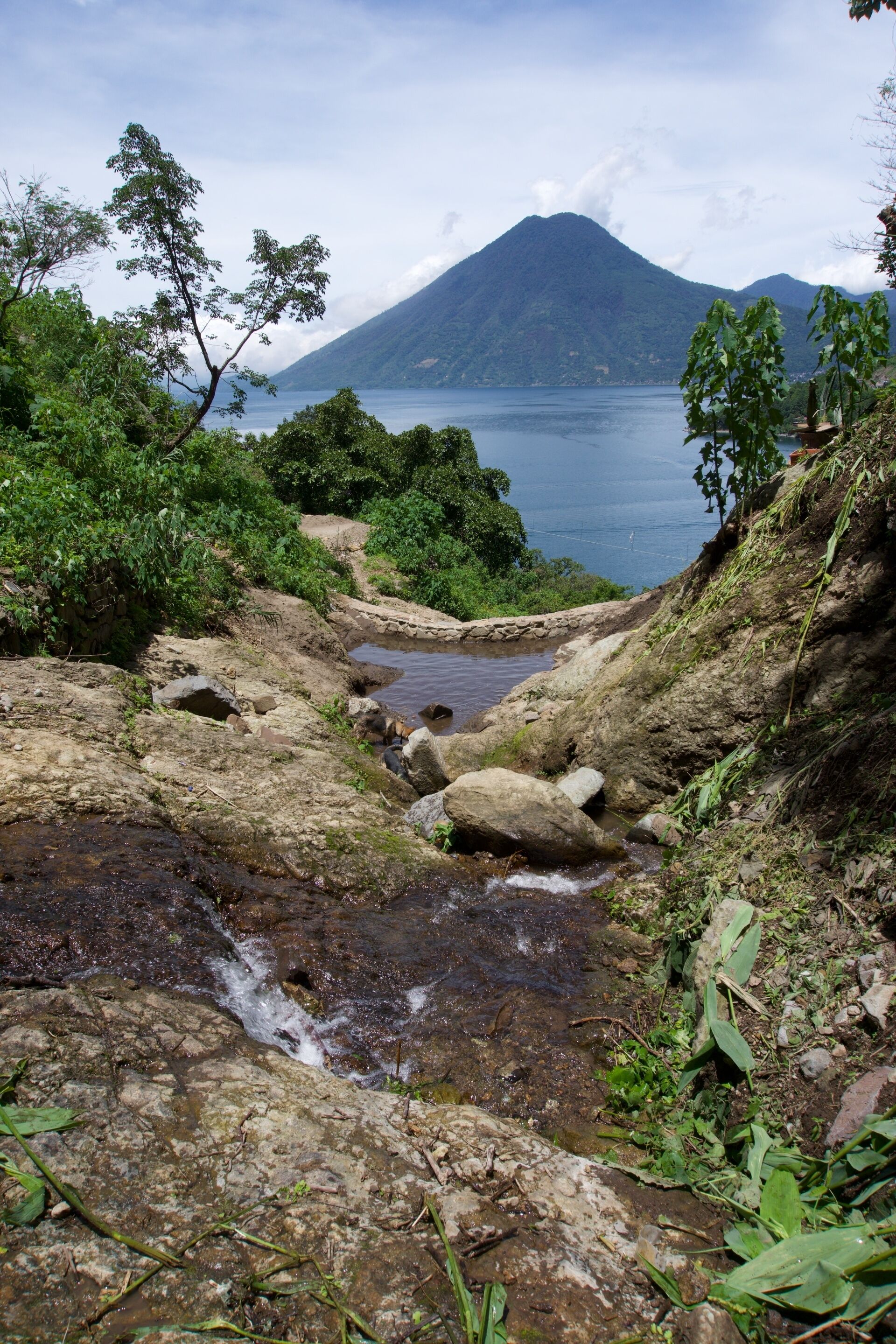 A natural landscape with a rocky stream, lush greenery, and a mountain in the background.