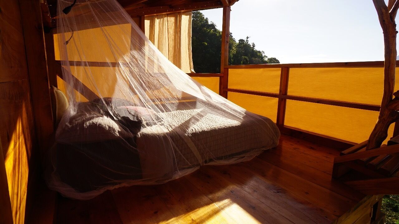 Een houten kamer met een bed dat is overdekt met een klamboe, houten wanden en uitzicht op groen buiten.