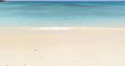 Large 3 Bed + FREE amenities + Close to everything