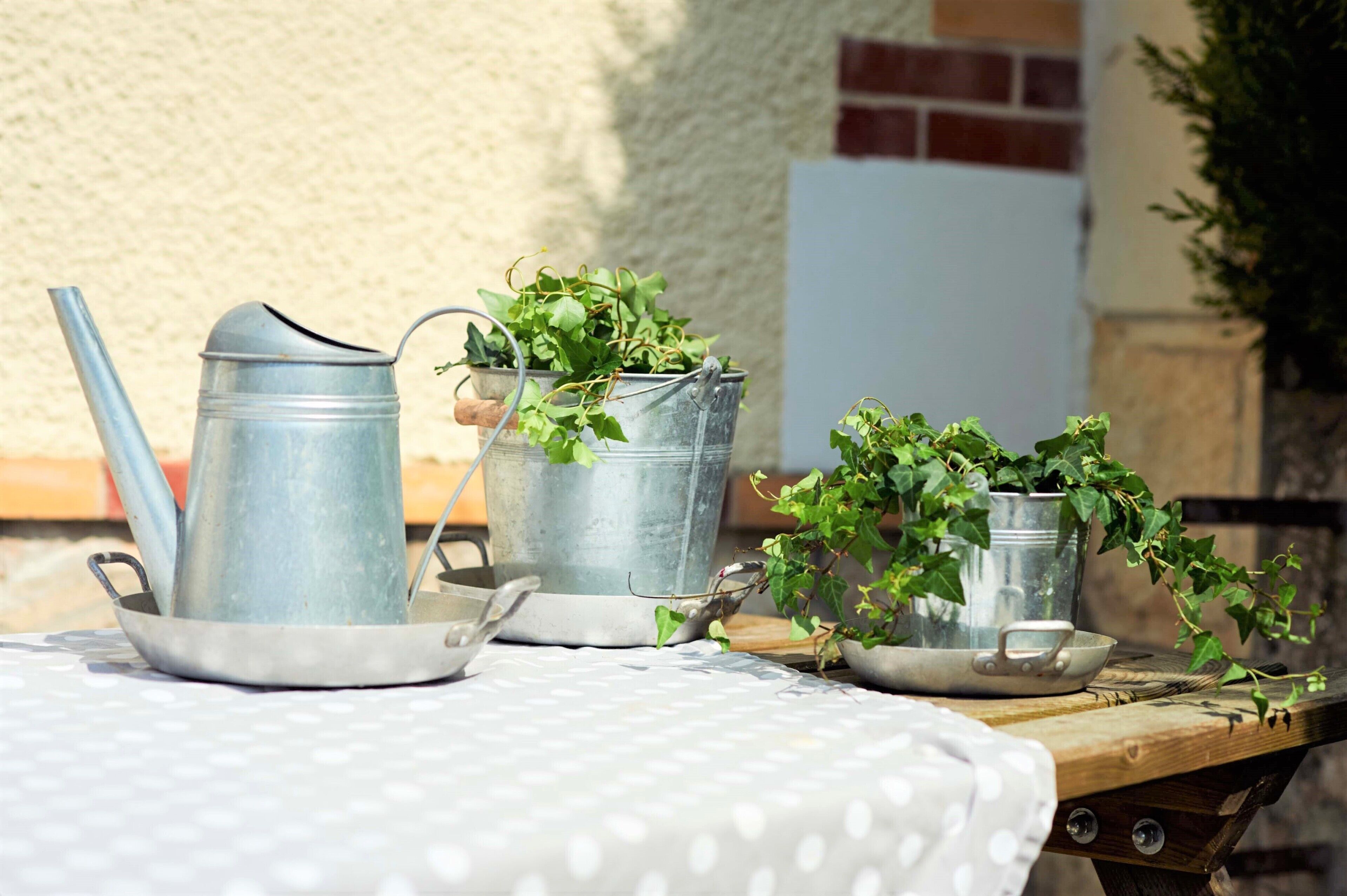 A table with metal watering cans and a pair of glasses, set outdoors with a brick wall and a whiteboard in the background.