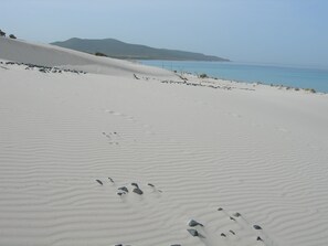 Eine sandige Landschaft mit Fußabdrücken und vereinzelter Vegetation, die zu einem Gewässer und fernen Hügeln führt.