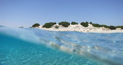 Hameau de Sardaigne traditionnel de Hancient. C'est une maison son nom est Corbezzolo