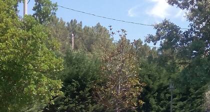 El Magnolon maaseutuhuvila