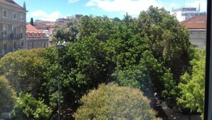 Vista de una zona arbolada y densa con edificios al fondo.