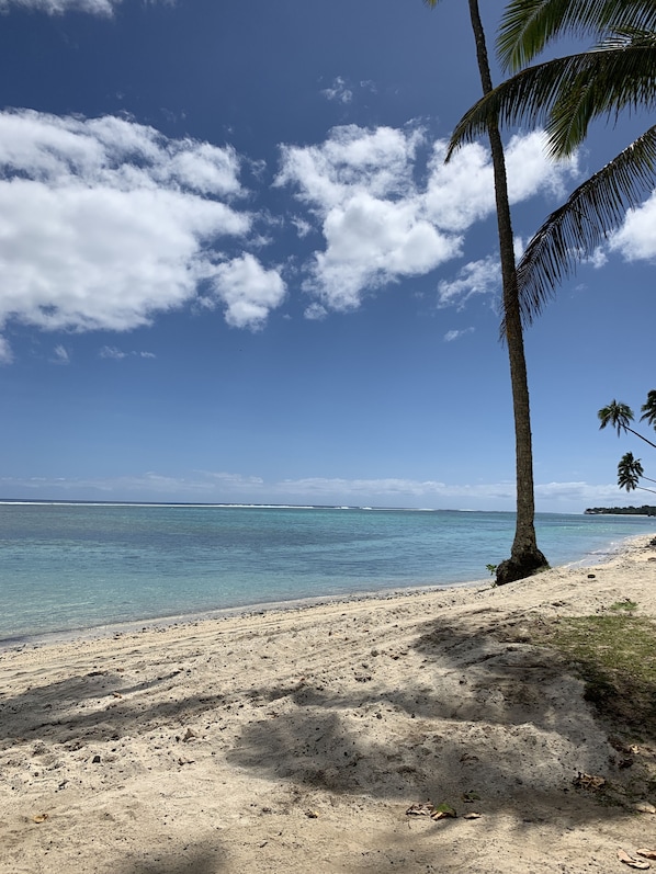A beach with clear blue water, a sandy shore, and palm trees.