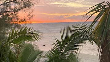 Beach/ocean view