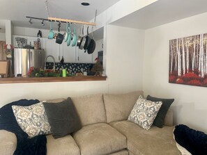 Smart TV, fireplace, books, stereo