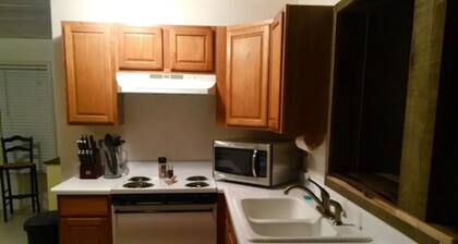 Tyrone Basement Apt. Elegant. Dont Miss!