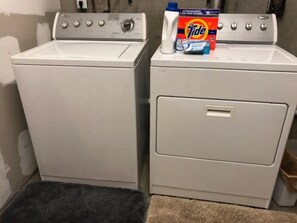 Laundry - Tyrone Basement Apt. Elegant. Dont Miss! (Tyrone)