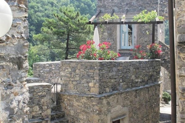 المنطقة المحيطة بالمنشأة