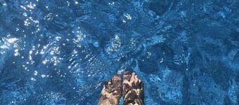 âïžVILLA "BELLA E PRECIOSA" ! PISCINE et JARDIN PRIVĂSđŽ