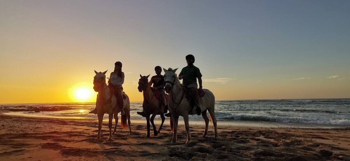 A sunset with four people on horseback on a beach.