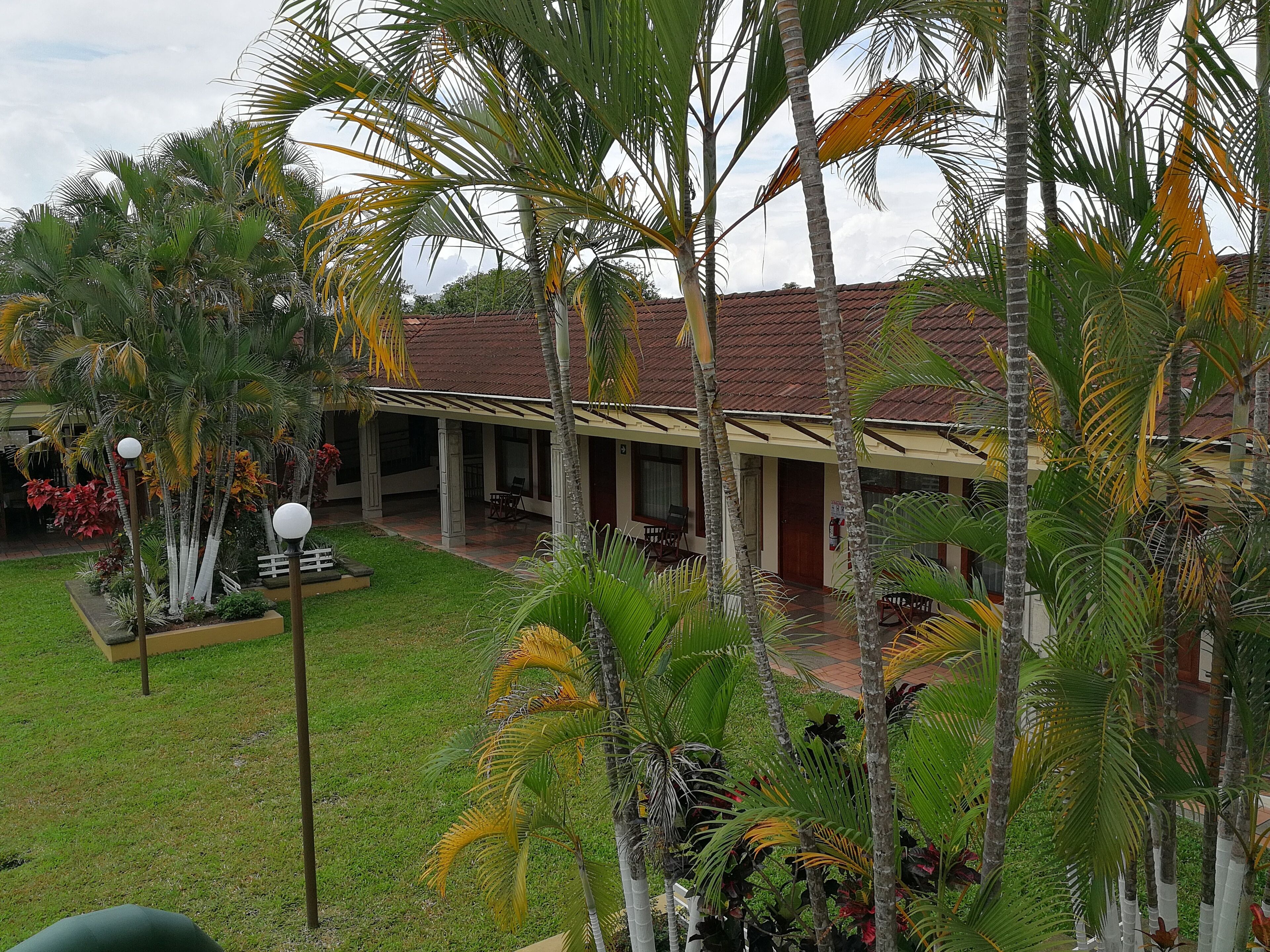 Taman