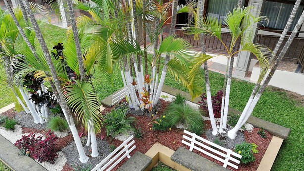 A landscaped garden with palm trees, a white fence, and a paved walkway. - Vivens Bed & Breakfast Sarchi (Sarchí Sur)