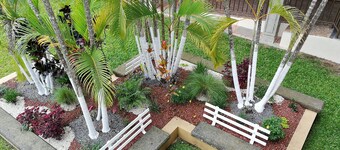 Vivens Bed & Breakfast Sarchi