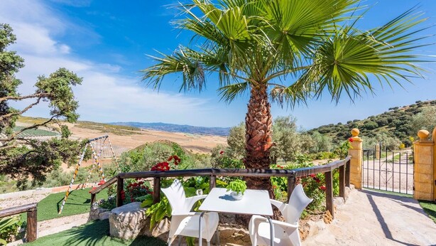 Un espace extérieur aménagé avec une table et des chaises, un palmier et une vue sur un paysage vallonné.