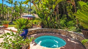 Een jacuzzi omringd door weelderige tropische planten en een stenen muur.