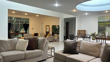 TV connectée, cheminée, livres, chaîne hi-fi