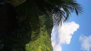 Une vue d’un paysage verdoyant et luxuriant, avec un ciel dégagé et quelques nuages.