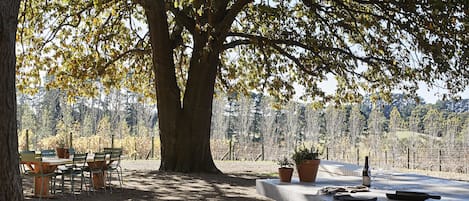 BBQ/picnic area