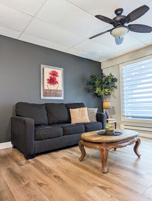 Comfort Apartment, 1 Queen Bed with Sofa bed (542) | Living room