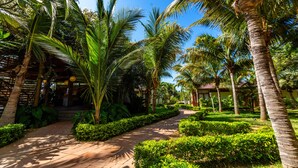 Garden -  Hotel Punta Camarón Bungalows & Suites (Zorritos)