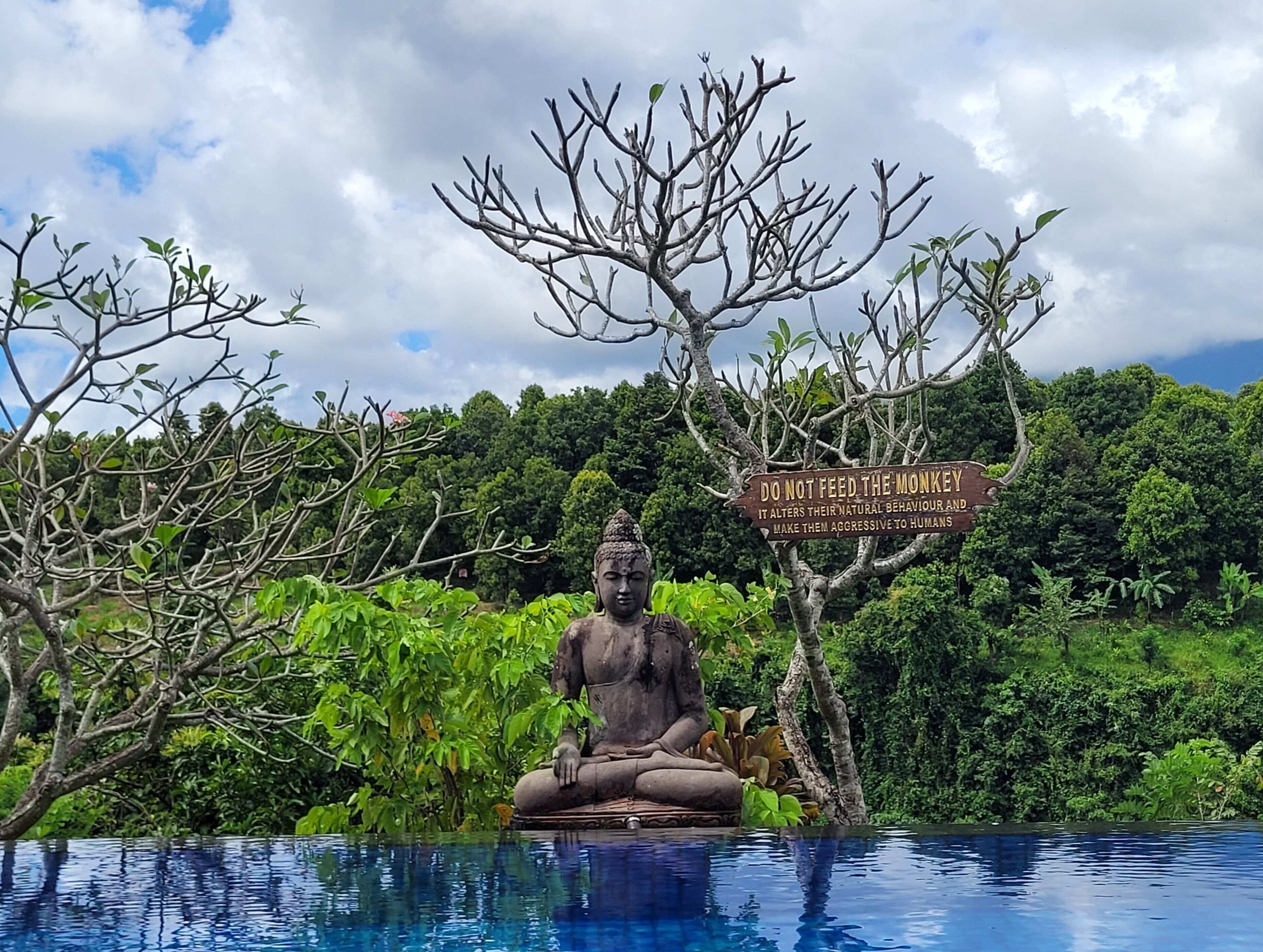 A Buddha statue in a pool surrounded by lush greenery and a warning sign.