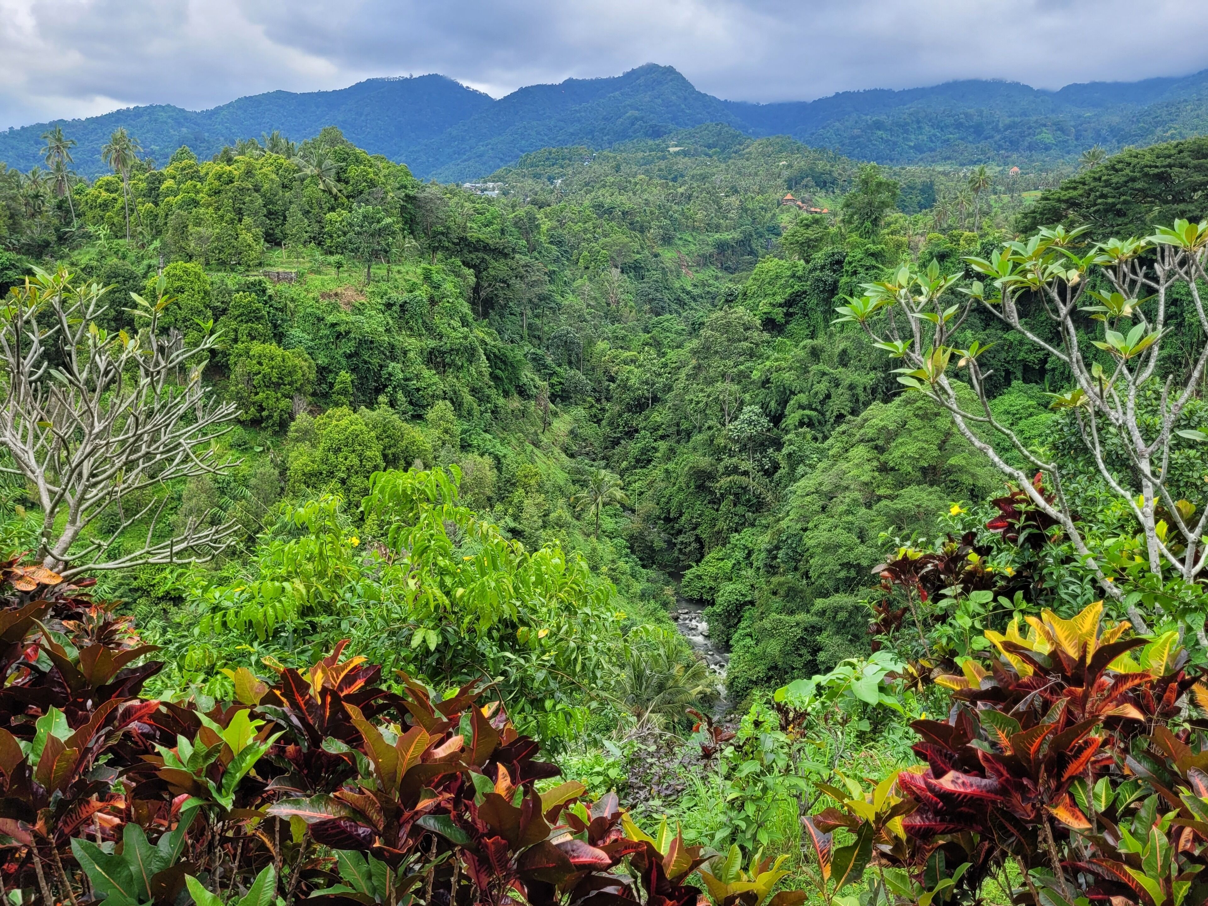 A lush, green landscape with dense vegetation and a river running through it.