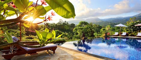 Outdoor pool, sun loungers