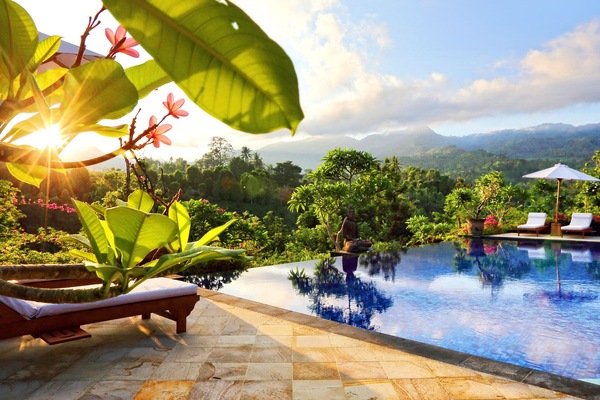 Outdoor pool, sun loungers