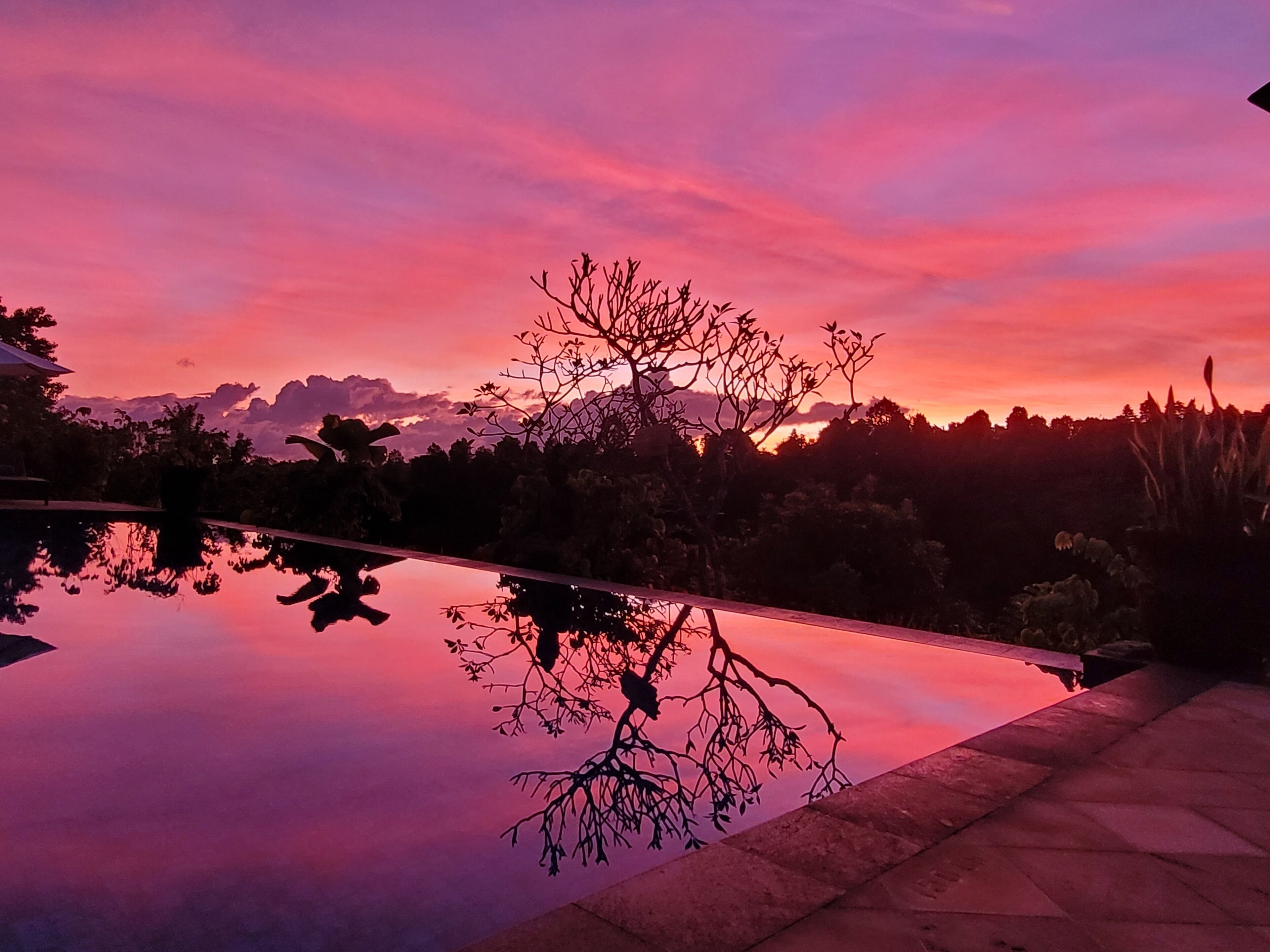 A serene sunset over a reflective pool with a tree silhouette and distant mountains.