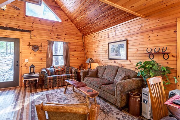 TV, fireplace, DVD player, books