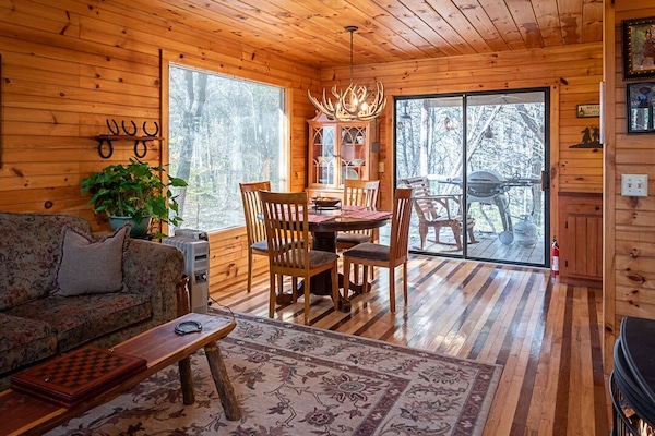 TV, fireplace, DVD player, books